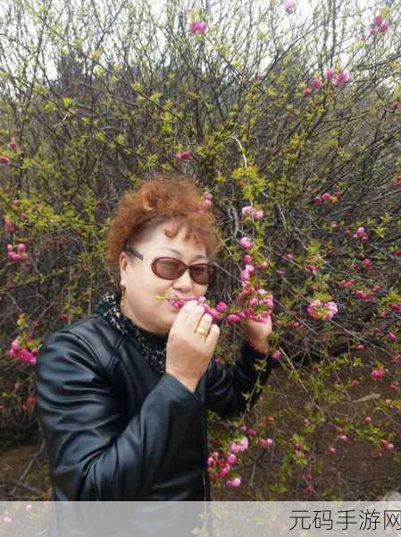 96533影视剧免费观看樱花:1. 《樱花盛放时,我们的爱恋绽放