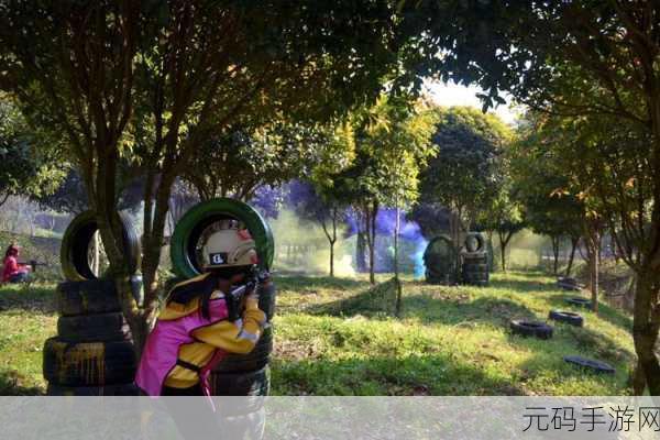 滚珠冲浪游戏震撼发布,休闲闯关新体验,等你来挑战!
