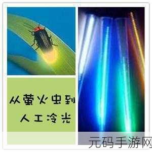 探秘萤火虫之光,冷光奥秘与发热真相