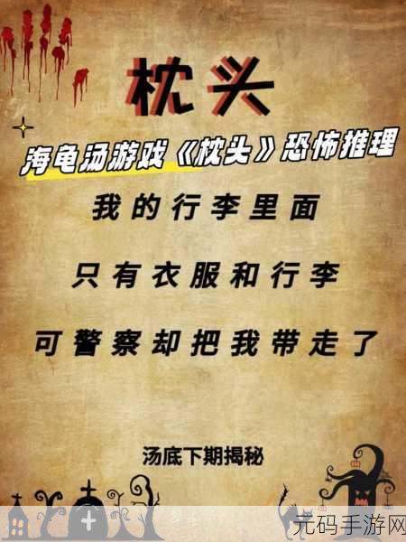 海龟汤正版手游,推理社交新风尚,全新版本震撼来袭
