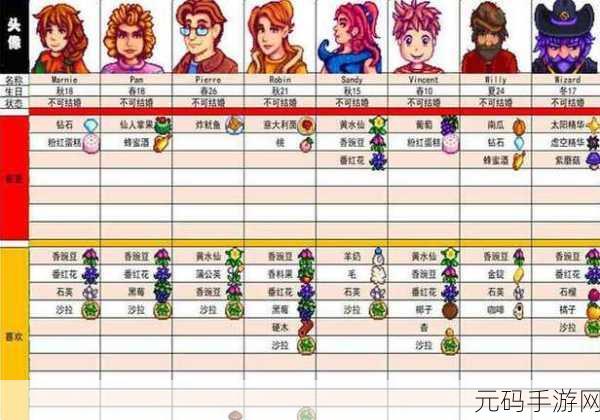 星露谷物语,NPC 喜好大揭秘