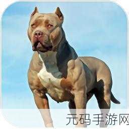 比特犬模拟器游戏震撼发布,体验忠诚与勇气的完美融合