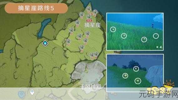 原神探秘,塞西莉亚花的神秘所在与获取秘籍