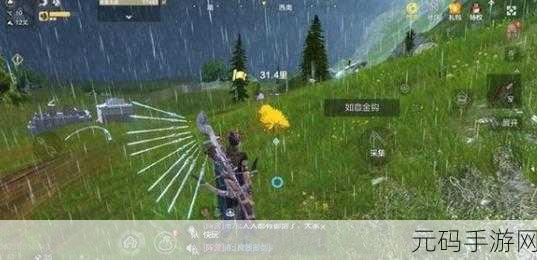 妄想山海,白首不离花束制作秘籍大公开