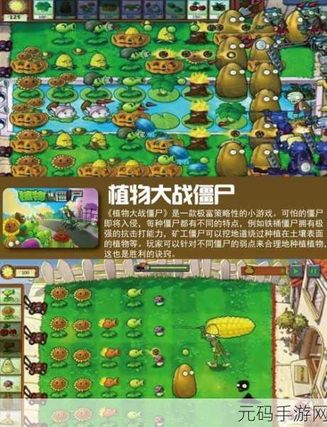 建筑队大战僵尸老版本免费下载,重温经典策略塔防的魅力