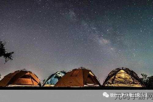 森林露营之丘汉化版免谷歌下载,探索像素世界的奇妙之旅