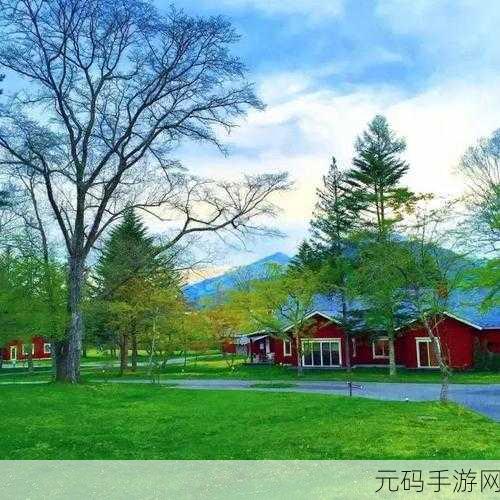森林露营之丘汉化版免谷歌下载,探索像素世界的奇妙之旅