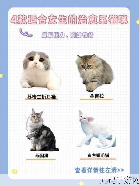 治愈系消除新宠狂热的小猫安卓版正式上线,萌化你的心!