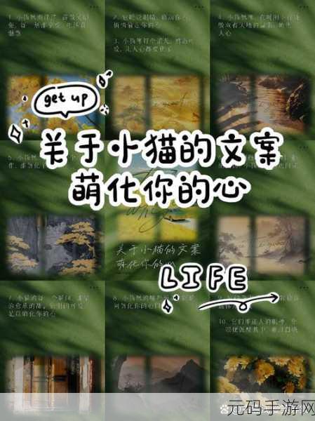 治愈系消除新宠狂热的小猫安卓版正式上线,萌化你的心!