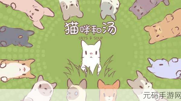 探秘猫咪和汤手游,轻松进入猫猫房间秘籍