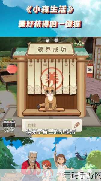 小森生活中猫咪失踪?别急,解决办法在此!
