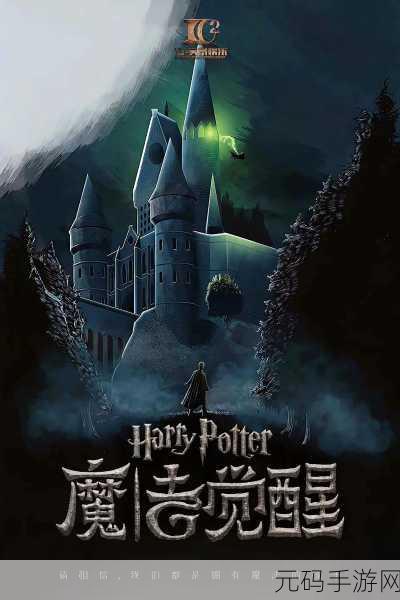 哈利波特魔法觉醒，解锁神秘隐藏外观的独家秘籍