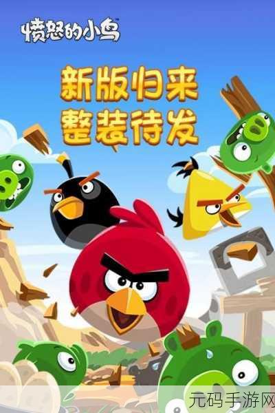 愤怒疯狂的世界游戏最新版震撼发布,益智解谜新体验等你来探索