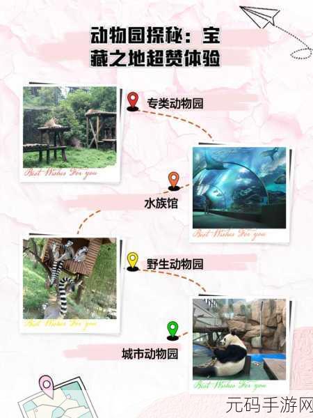 动物园探索者手游新版本震撼发布,冒险解谜新体验等你来探索