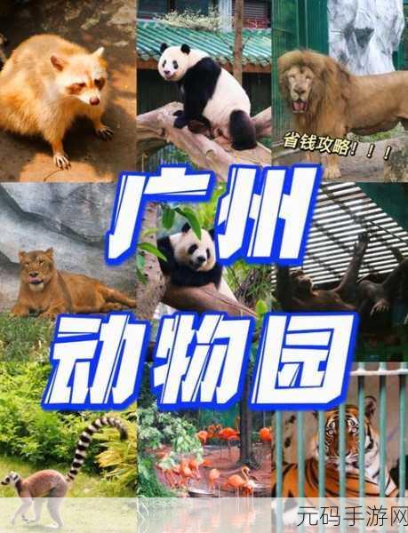 动物园探索者手游新版本震撼发布,冒险解谜新体验等你来探索