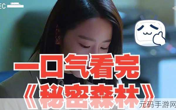 猫咪的秘密森林新版本震撼发布,探索未知,揭秘冒险新篇章