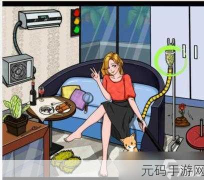 文字找茬大师,红毯穿搭关卡通关秘籍