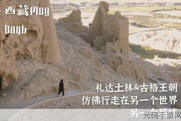 王朝安卓版震撼发布,别具一格的冒险探索之旅正式启程