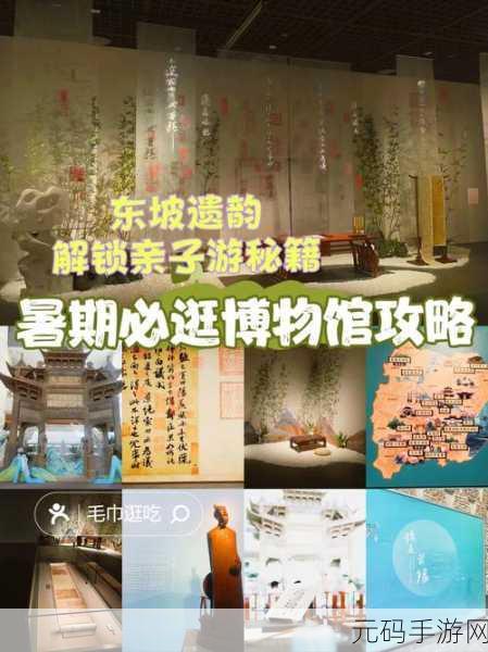 奇趣博物馆探险秘籍,畅玩攻略全解析