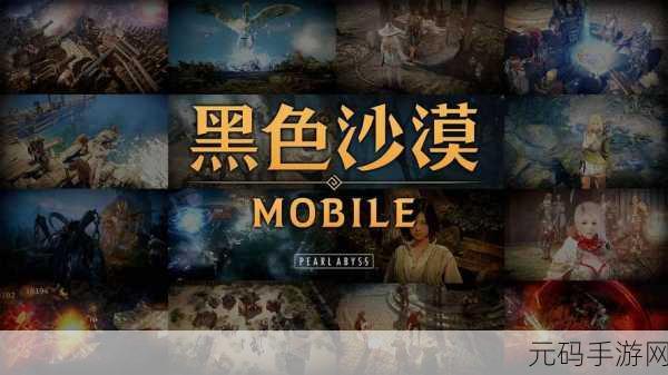黑色沙漠 PVP 玩法深度探秘,新手入门指南与实战技巧