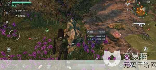 黎明觉醒生机,二级资源神秘位置大揭秘