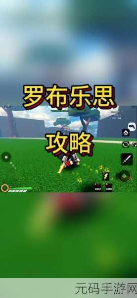 罗布乐思正版手游中文版震撼来袭,无需实名认证,畅享吃鸡竞技新体验