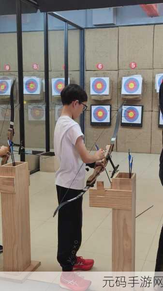 真实射箭最新版震撼发布,射击类小游戏新体验等你来探索