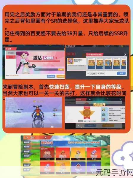 宝可梦大探险,萌新养宠必备秘籍