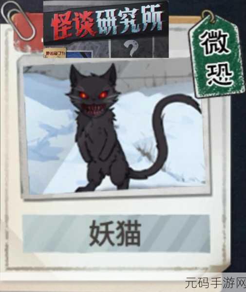 探秘怪谈研究所,妖猫关卡的致胜秘诀