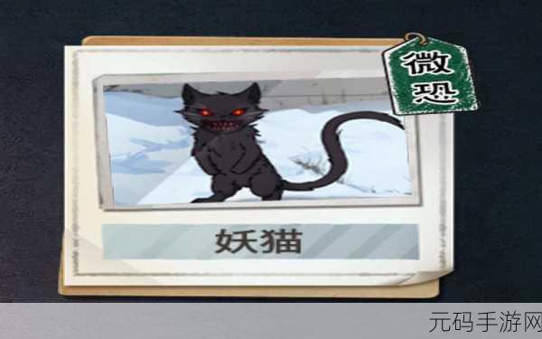 探秘怪谈研究所,妖猫关卡的致胜秘诀