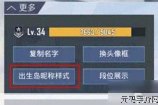 和平精英金色名字神秘设置指南,独家秘籍大公开