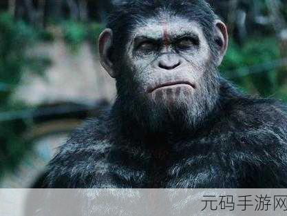 凯撒大帝2繁体中文免安装版震撼发布,重温经典,再续辉煌