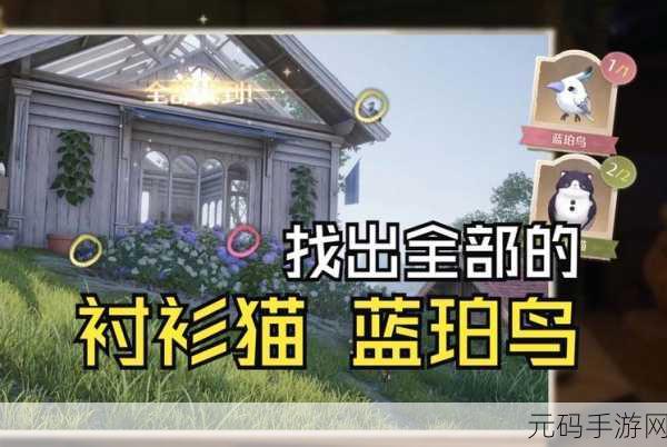 探秘无限暖暖,蓝珀鸟羽的神秘获取之道