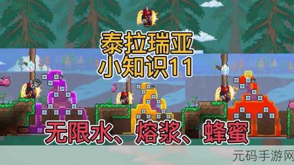 泰拉瑞亚零基础攻略,指令使用之谜