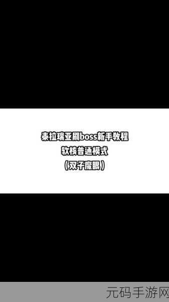 泰拉瑞亚零基础攻略,指令使用之谜