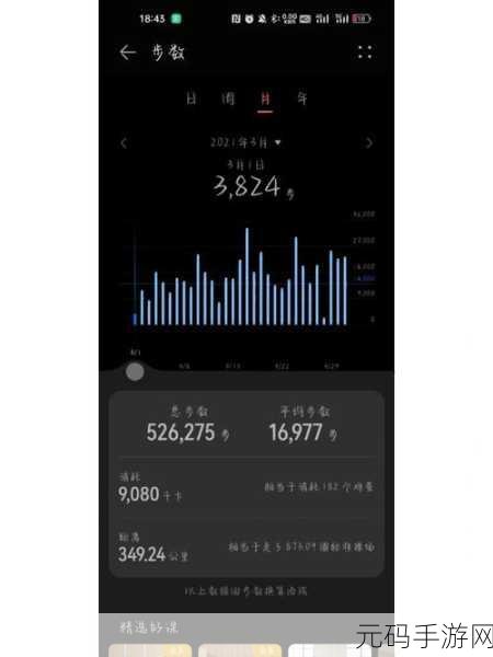轻松掌握！MIUI12 运动步数查看秘籍