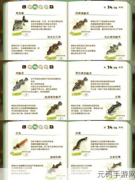星露谷物语,矿场探险秘籍——探索矿场任务全攻略