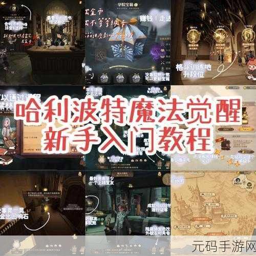 哈利波特魔法觉醒禁林卡组实战秘籍，最强搭配攻略来袭