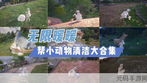 无限暖暖，轻松解锁动物清洁能力的秘籍