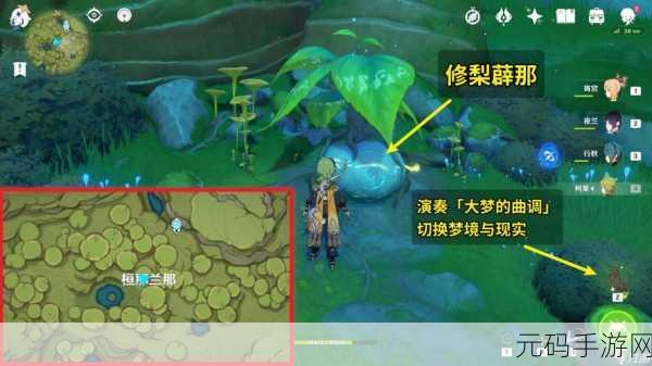 原神,兰那库拉照料苗圃任务全攻略