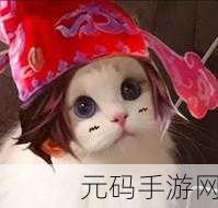 王者荣耀猫咪至尊宝接头头像大揭秘及获取攻略