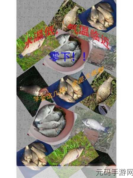 琉生传，降妖钓鱼秘籍大公开