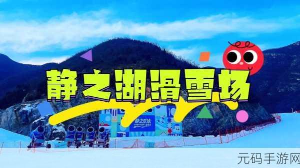 滑雪大冒险2最新版2024震撼发布,3D视角重塑滑雪游戏新体验