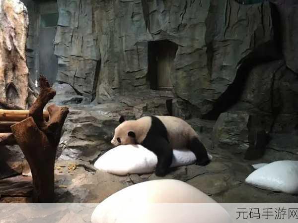 冰之动物园汉化版,打造梦幻经营之旅,全新体验等你来探索