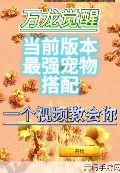 万龙觉醒,宠物放生秘籍大揭秘