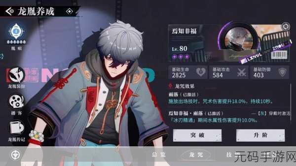 探秘归龙潮,灰角色深度解析