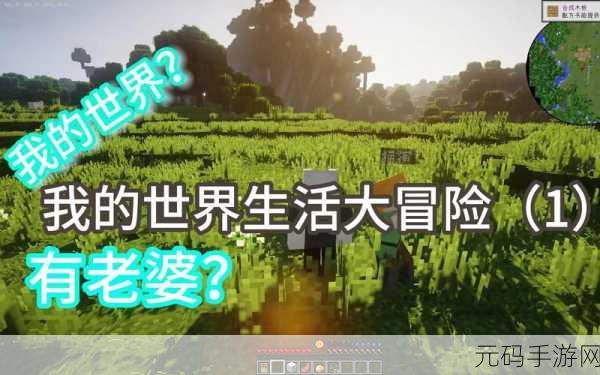我的世界生活大冒险,好感飙升秘籍大公开