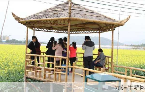 开心农场3中文版全新版本更新，打造你的梦幻田园生活