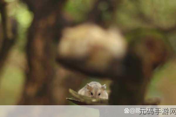 仓鼠收集中文版全新版本更新资讯，萌宠养成，乐趣无限升级