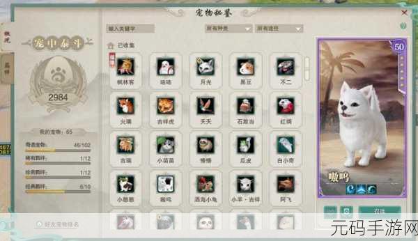 剑网 3 中兽王佩宠物奇遇的通关秘籍